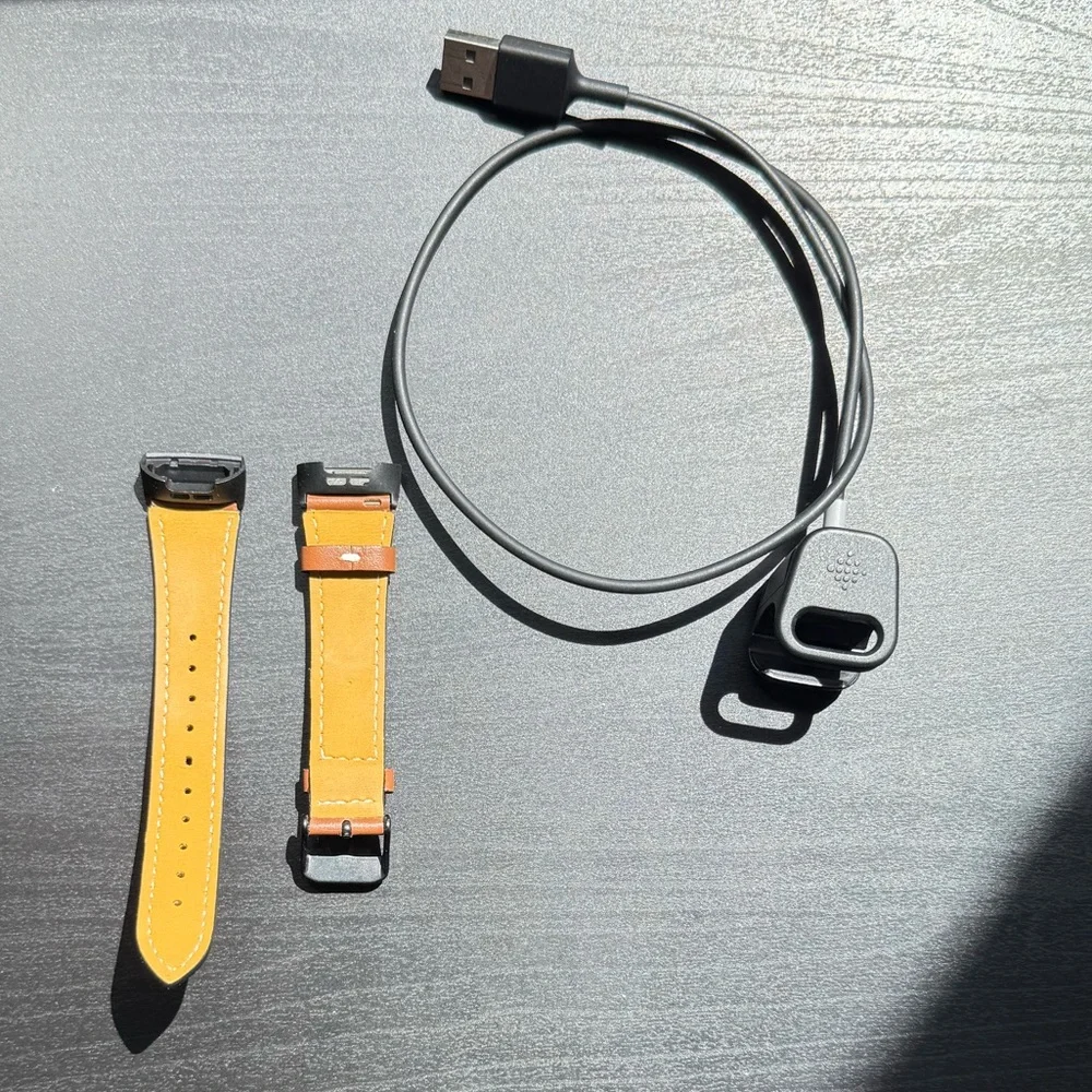 Brown Leather Charge 3/ Fitbit Charge 4/ Charge3 SE Fitbit Band with Charger